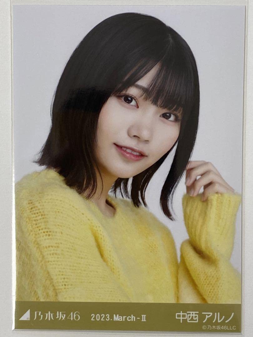 Amazon.co.jp: 乃木坂46 ランダム生写真 ファーニット ビッグボーダー